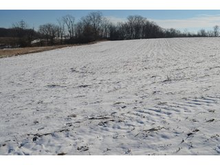 54.7 Acres with 50 tillable and 4.3 wooded.  Surrounded by heavy deer population on CRP land.  Great trophy deer hunting on established food plots.  Hunting tower.

Receive income on tillable acres while abundance of deer hunting on established food plot. - Great Investment Opportunity - Tillable Land, Recreation & Building Site